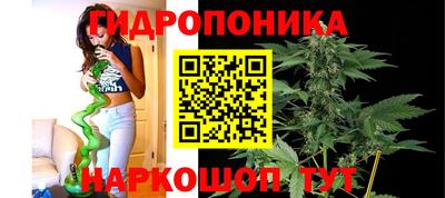 mdma Сланцы