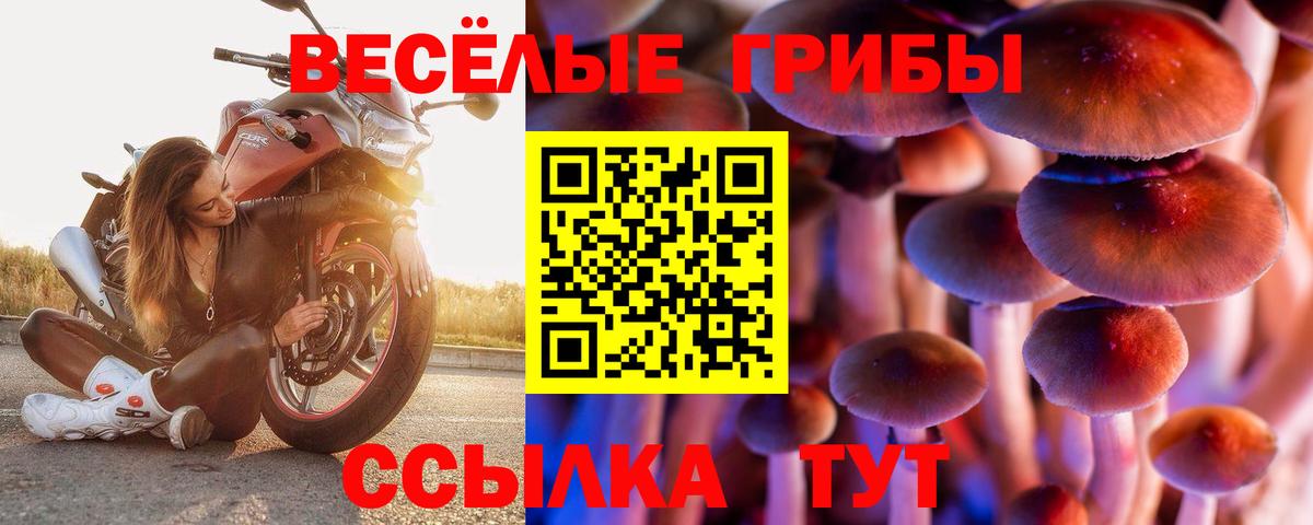 Галлюциногенные грибы прущие грибы  где купить   Стрежевой  Псилоцибиновые грибы Psilocybe  Вход с VPN 