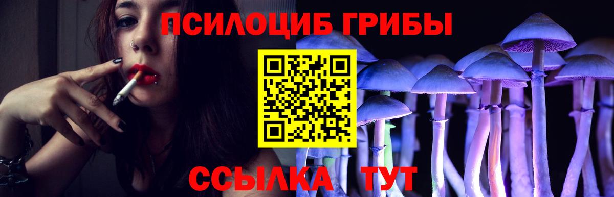 Галлюциногенные грибы GOLDEN TEACHER Стрежевой